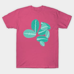 Green prayer plant T-Shirt